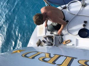 Photo of Dustin cleaning fish on the swim-step