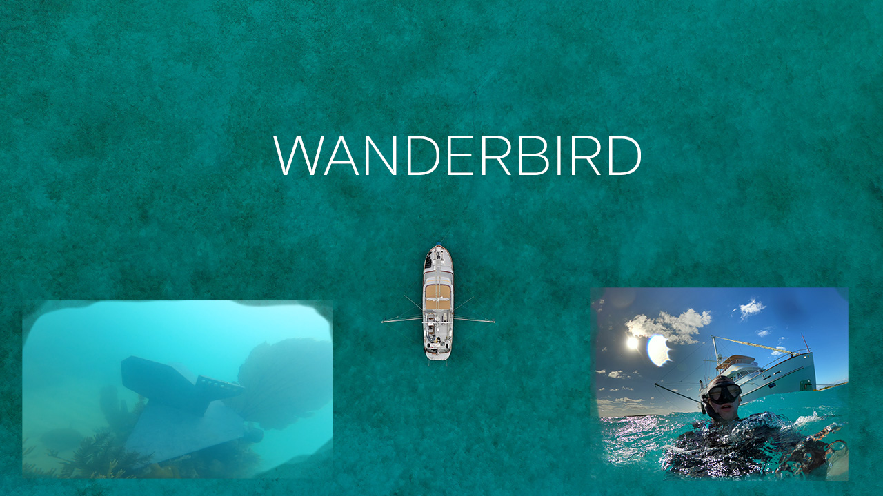 Transit - WANDERBIRD
